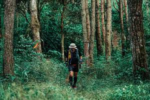 BIB: 
                            <button type="button" onclick="openModal(25237947)" class="btn btn-primary btn-sm float-right btn-popup" data-toggle="modal" data-target=".modal-high-quality">
                        <i class="fas fa-shopping-cart"></i> Add to Cart
                    </button>
                                            <button type="button" onclick="isThisMe(25237947, true)" class="btn btn-success btn-sm float-right btn-popup btn-isme hidden" data-toggle="tooltip" data-placement="bottom" title="นี่คือรูปของคุณใช่ไหม คลิกที่นี่เพื่อเอาเข้าอัลบั้ม">
                        <i class="fas fa-plus"></i> Add to album
                    </button>
                    <button type="button" onclick="isThisMe(25237947, false)" class="btn btn-warning btn-sm float-right btn-popup btn-isnotme hidden">
                        <i class="fas fa-ban"></i> Remove from album
                    </button>